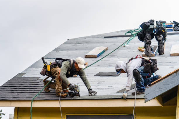 Professional Gutter Installation technician working in Raleigh, MS