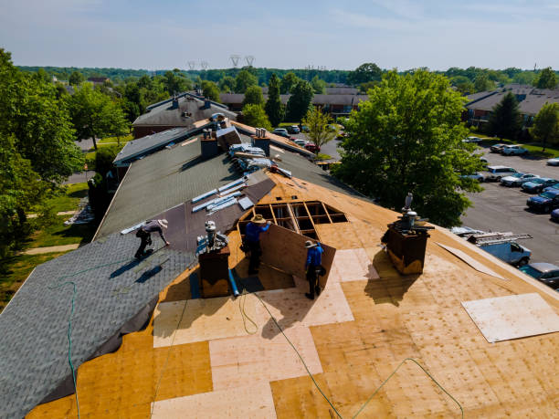 Trusted Emergency Roof Repair service in Raleigh, MS - Brentwood Metal Roofing